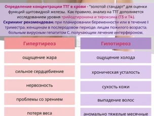 Щитовидная железа – регулятор здоровья и гармонии организма